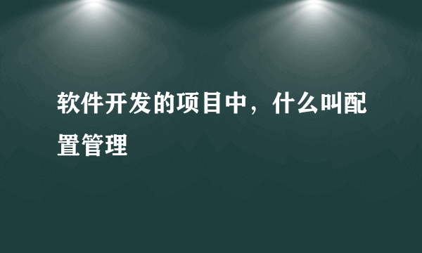 软件开发的项目中，什么叫配置管理