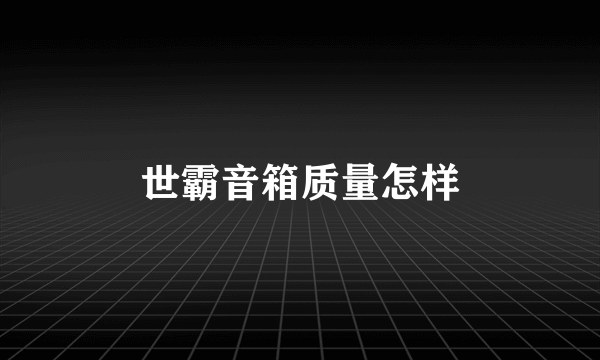 世霸音箱质量怎样