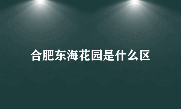 合肥东海花园是什么区