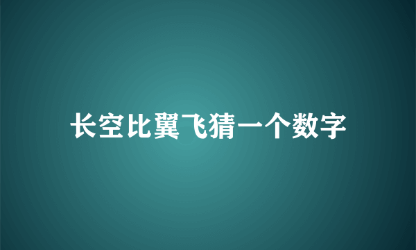 长空比翼飞猜一个数字