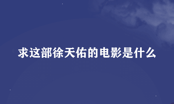 求这部徐天佑的电影是什么