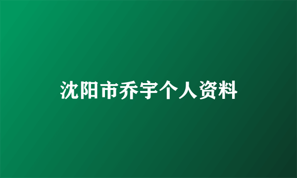 沈阳市乔宇个人资料