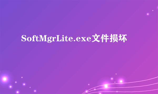 SoftMgrLite.exe文件损坏