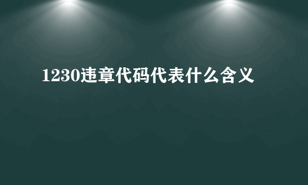 1230违章代码代表什么含义