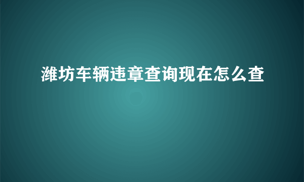 潍坊车辆违章查询现在怎么查