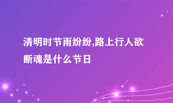 清明时节雨纷纷,路上行人欲断魂是什么节日