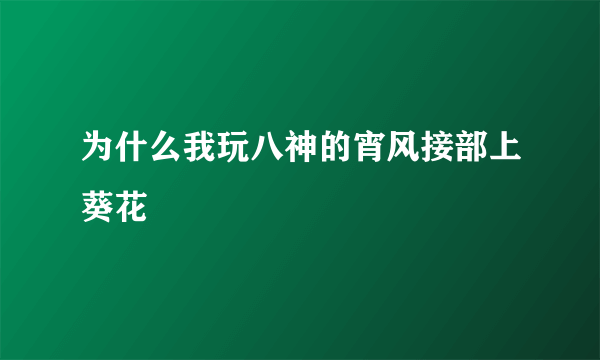 为什么我玩八神的宵风接部上葵花