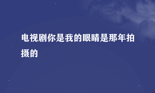 电视剧你是我的眼睛是那年拍摄的