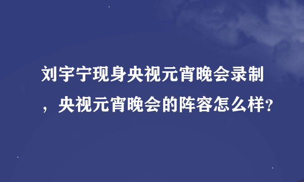 刘宇宁现身央视元宵晚会录制，央视元宵晚会的阵容怎么样？