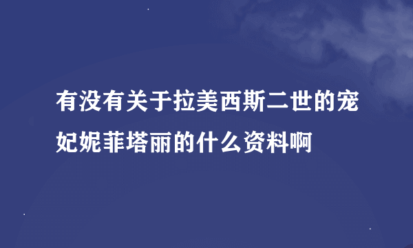 有没有关于拉美西斯二世的宠妃妮菲塔丽的什么资料啊