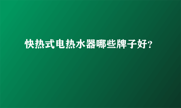 快热式电热水器哪些牌子好？