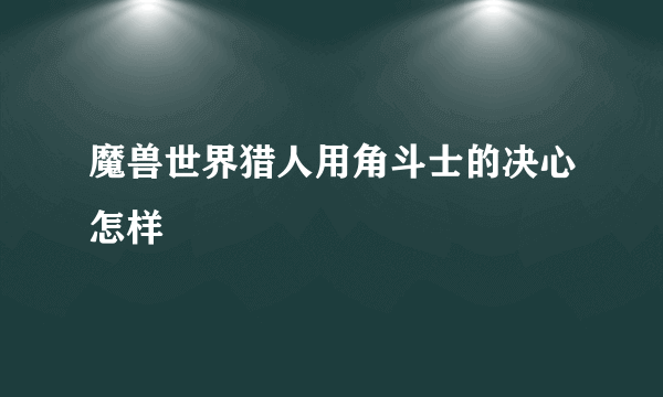 魔兽世界猎人用角斗士的决心怎样