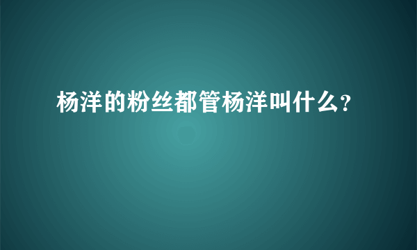 杨洋的粉丝都管杨洋叫什么？