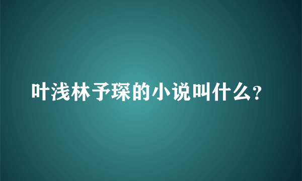 叶浅林予琛的小说叫什么？