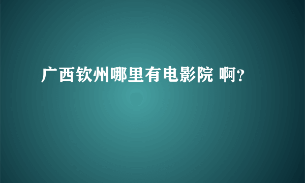 广西钦州哪里有电影院 啊？