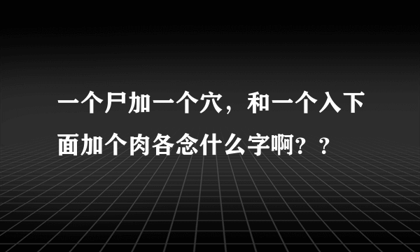 一个尸加一个穴，和一个入下面加个肉各念什么字啊？？