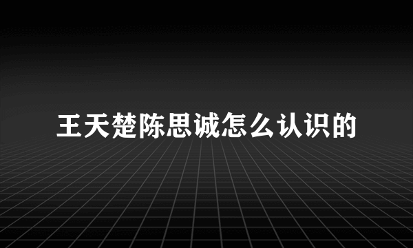 王天楚陈思诚怎么认识的