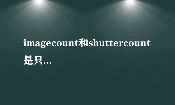 imagecount和shuttercount是只会出现一个吗