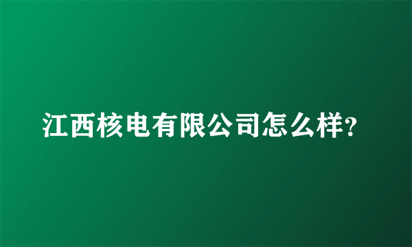 江西核电有限公司怎么样？