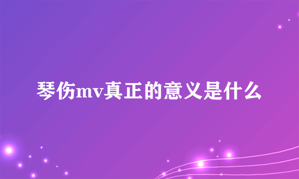 琴伤mv真正的意义是什么