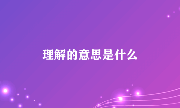 理解的意思是什么