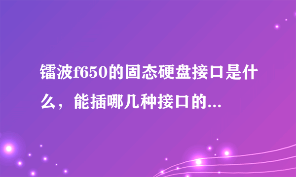 镭波f650的固态硬盘接口是什么，能插哪几种接口的固态硬盘? 就是微星16f4模具的那个，最近打算