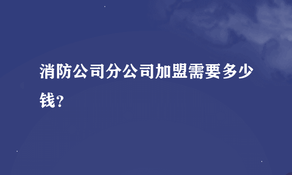 消防公司分公司加盟需要多少钱？