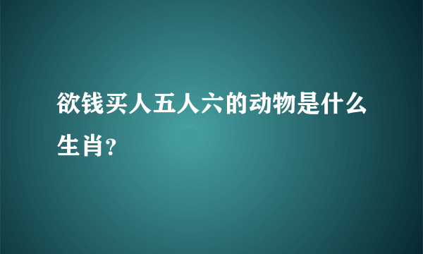 欲钱买人五人六的动物是什么生肖？