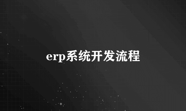 erp系统开发流程