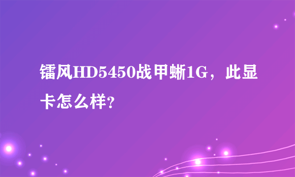 镭风HD5450战甲蜥1G，此显卡怎么样？