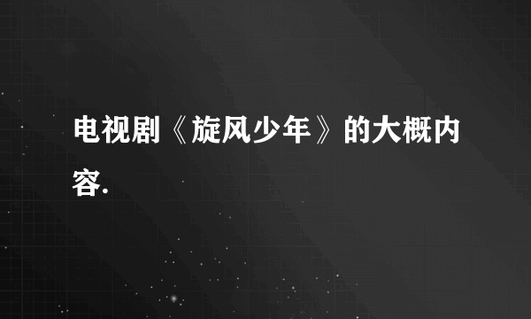 电视剧《旋风少年》的大概内容.