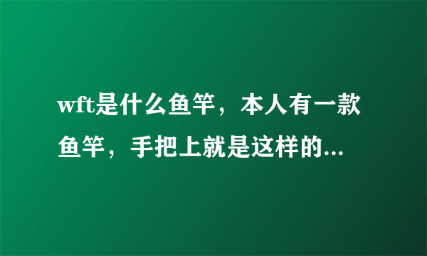 wft是什么鱼竿，本人有一款鱼竿，手把上就是这样的英文，请问是什么鱼竿，注明是海杆儿两节的