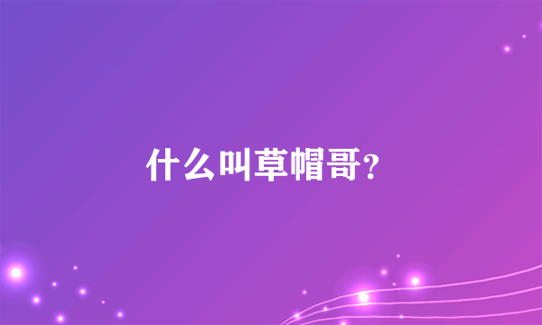 什么叫草帽哥？