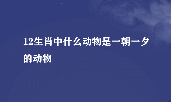 12生肖中什么动物是一朝一夕的动物