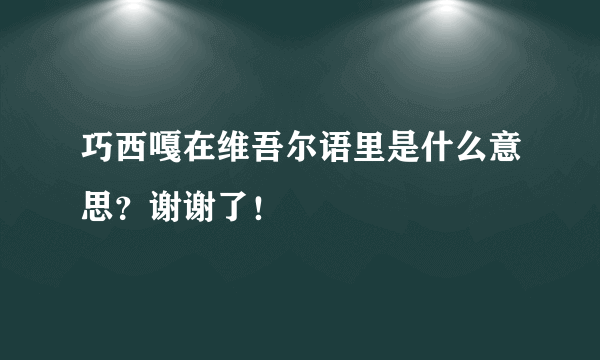 巧西嘎在维吾尔语里是什么意思？谢谢了！