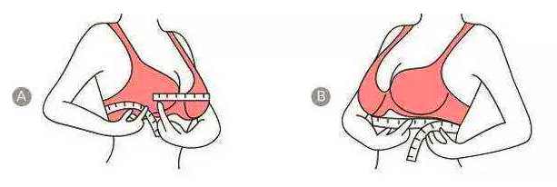 女生胸围78厘米应该戴多大的胸罩？