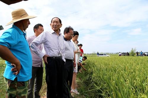 袁隆平入驻抖音本人不知情，这究竟是怎么回事？