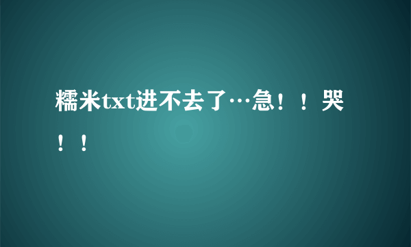 糯米txt进不去了…急！！哭！！