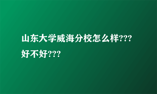 山东大学威海分校怎么样???好不好???