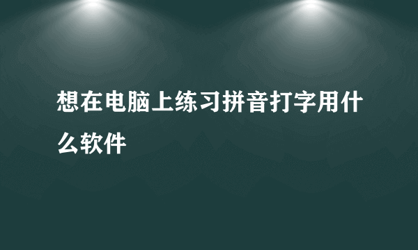 想在电脑上练习拼音打字用什么软件