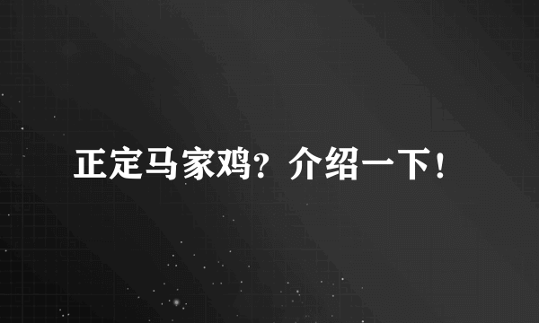 正定马家鸡？介绍一下！