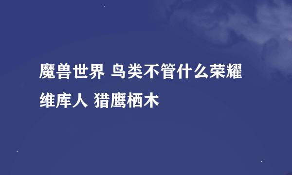 魔兽世界 鸟类不管什么荣耀 维库人 猎鹰栖木