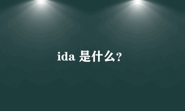 ida 是什么？