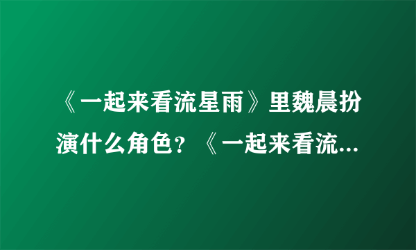 《一起来看流星雨》里魏晨扮演什么角色？《一起来看流星雨》几时首播？