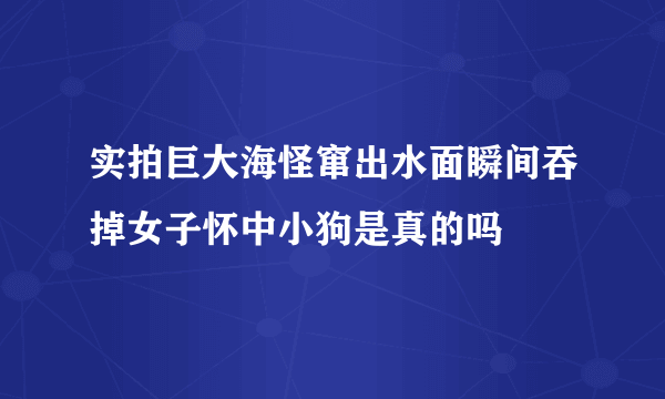 实拍巨大海怪窜出水面瞬间吞掉女子怀中小狗是真的吗