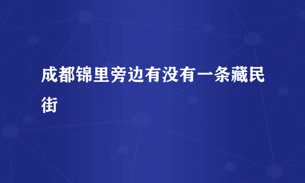 成都锦里旁边有没有一条藏民街