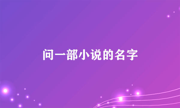 问一部小说的名字