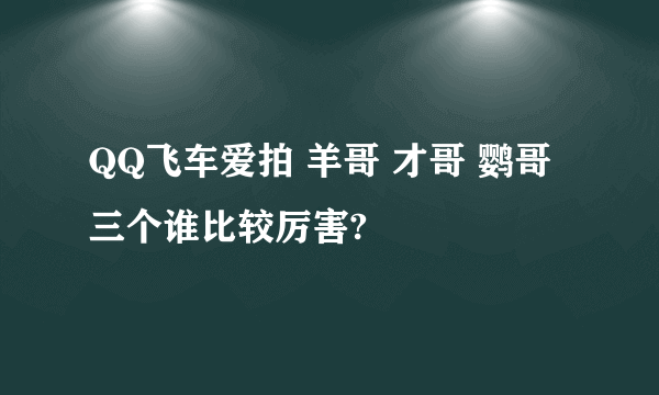 QQ飞车爱拍 羊哥 才哥 鹦哥三个谁比较厉害?