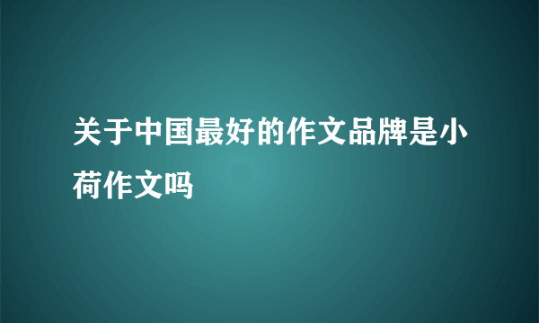 关于中国最好的作文品牌是小荷作文吗