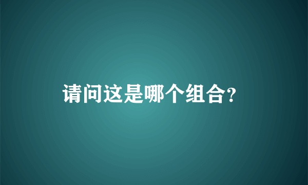 请问这是哪个组合？